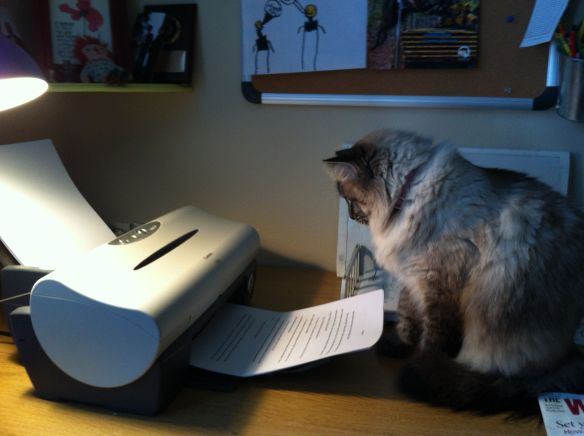 Are you sure antebellum is spelled that way?